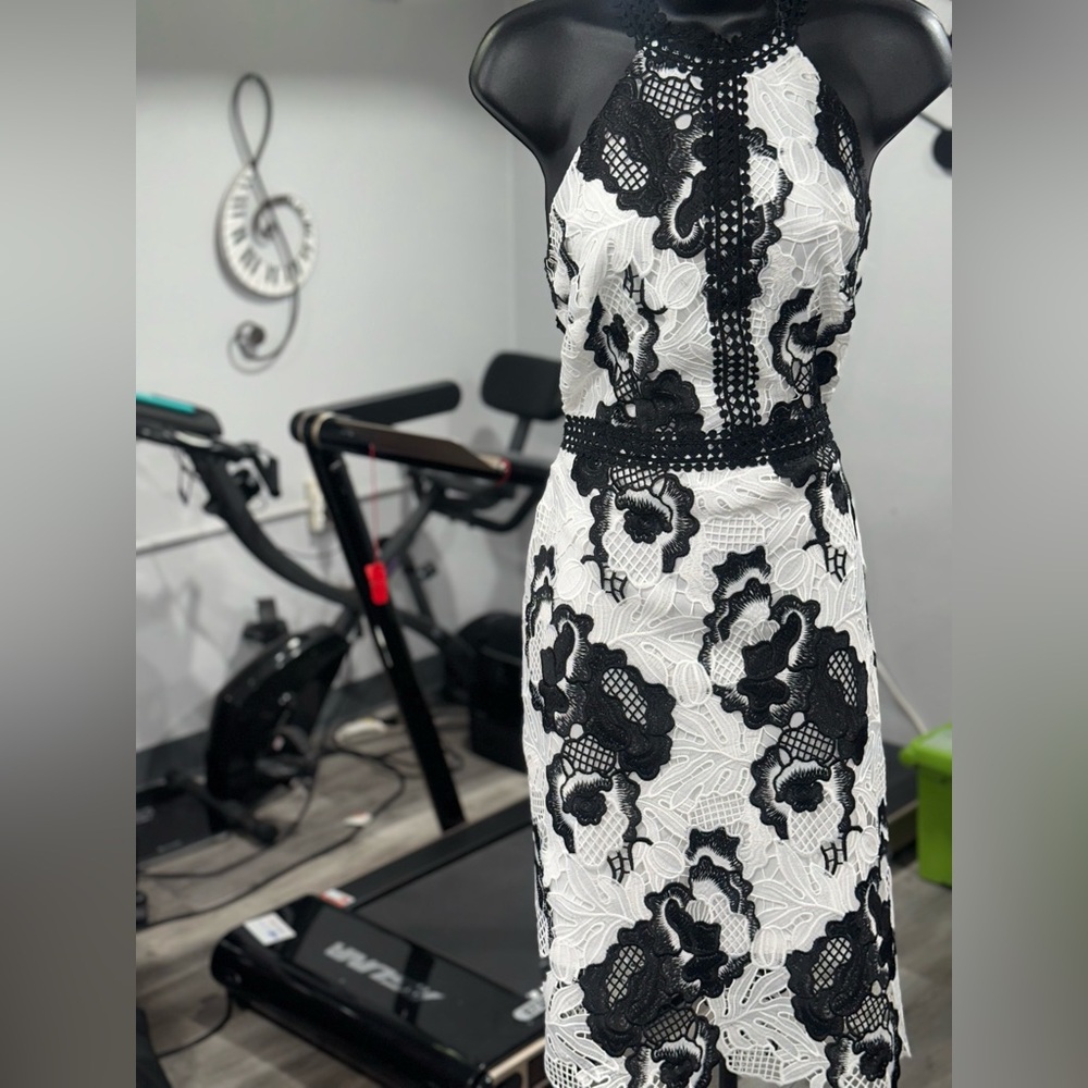 Alexia Admor Black and White Midi Dress